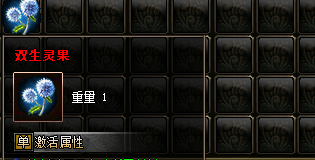 双生灵果